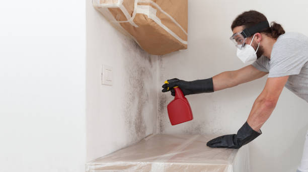 Professional Bathroom Mold Removal technician working in Manville, NJ