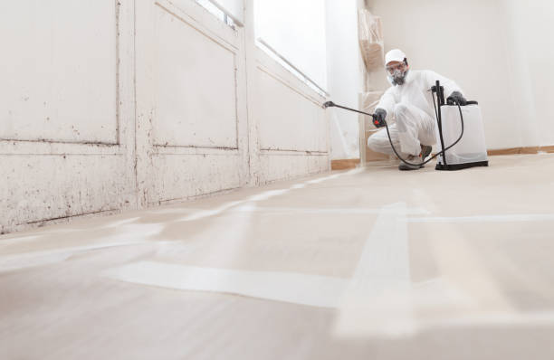 24/7 Emergency Bathroom Mold Removal experts in Manville, NJ