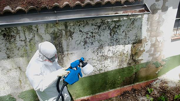 Trusted Bathroom Mold Removal service in Manville, NJ - Cheap Mold Removal